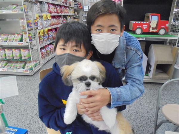 写真