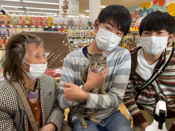 写真