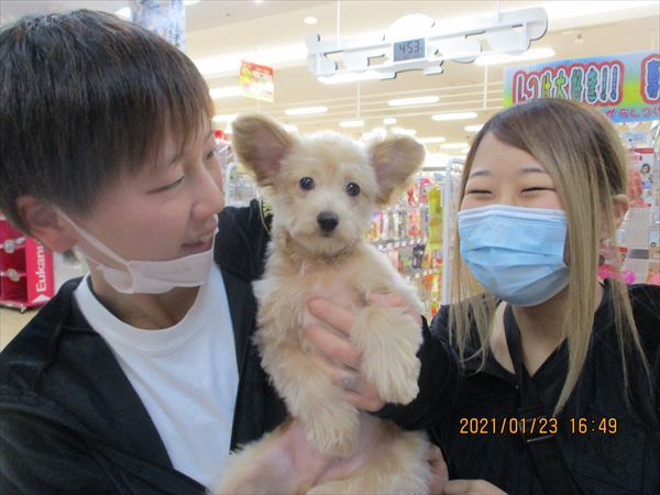 写真