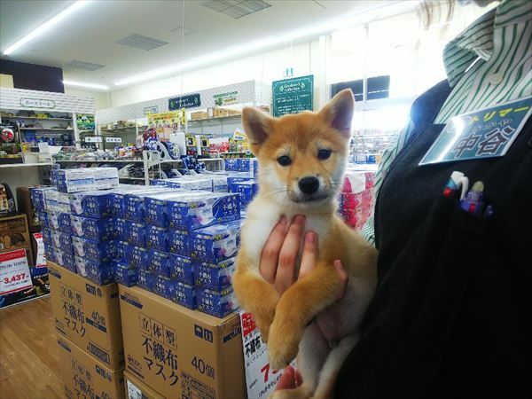 写真