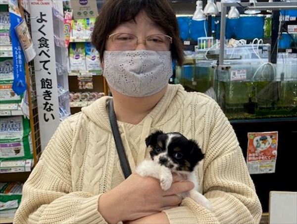 写真