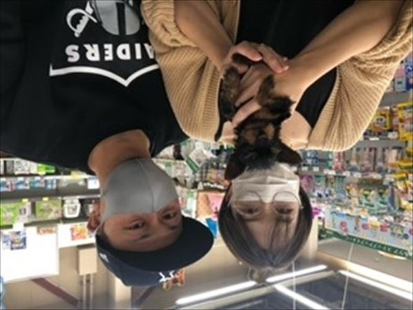 写真