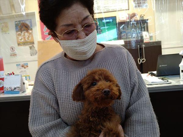 写真