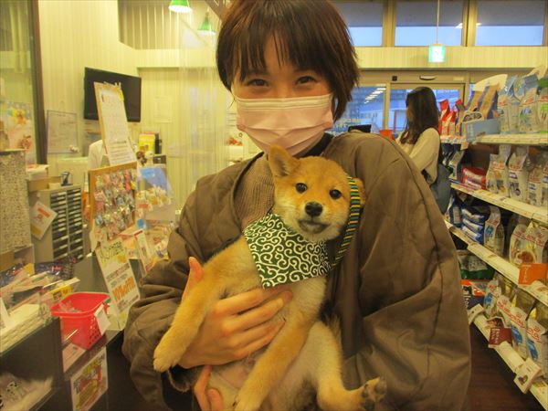 写真
