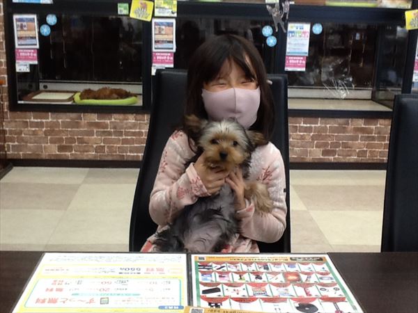 写真