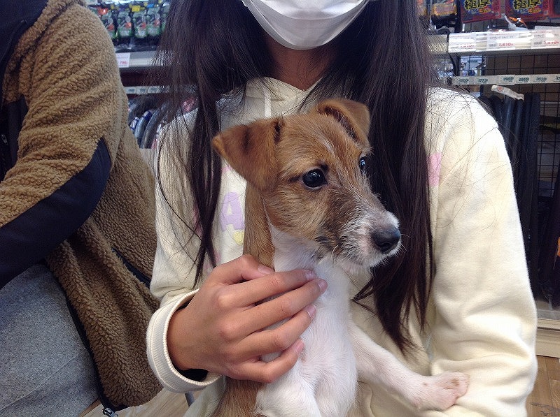 写真