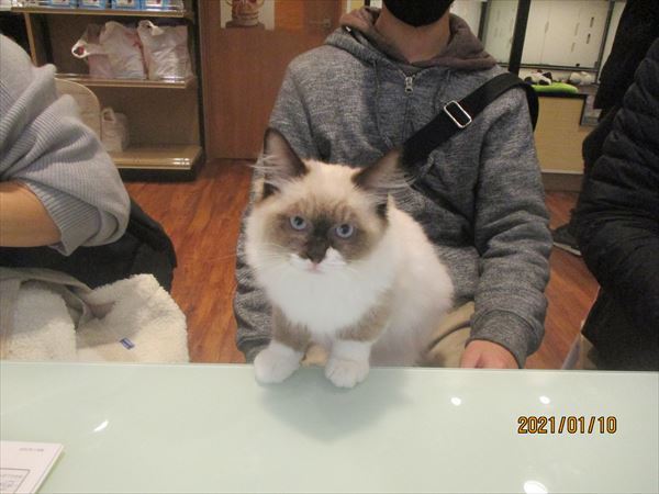写真