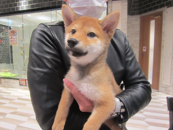 写真