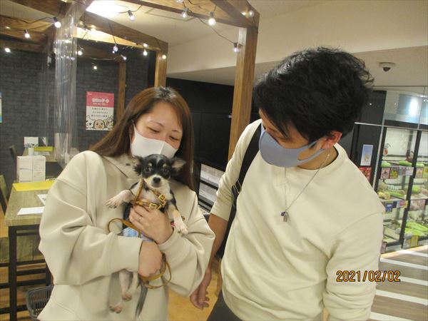写真