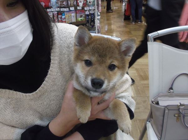 写真