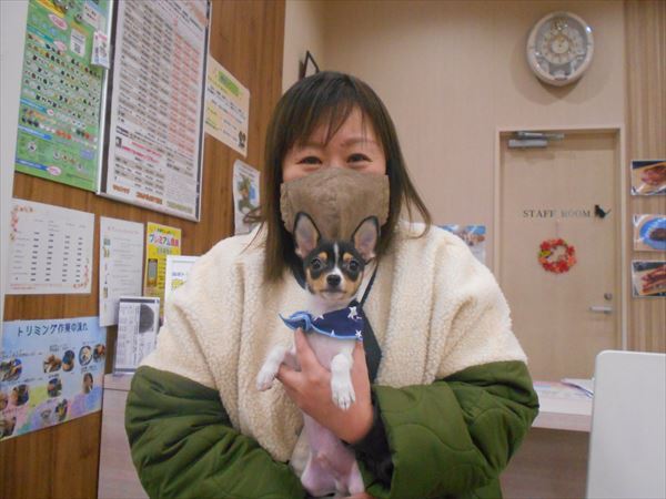 写真