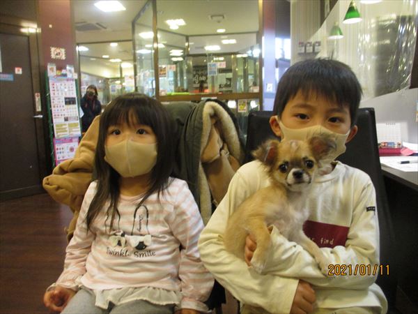 写真