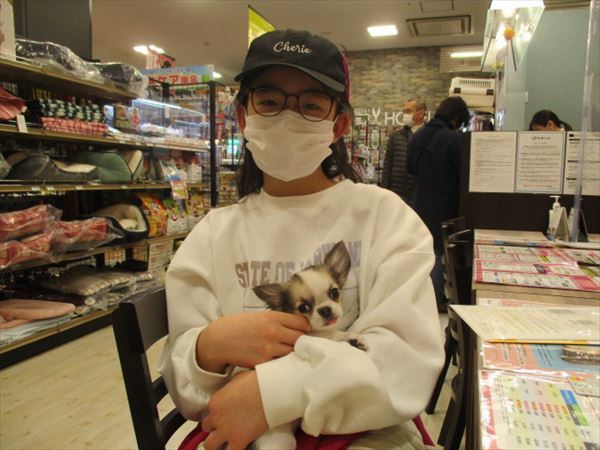 写真