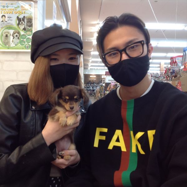 写真