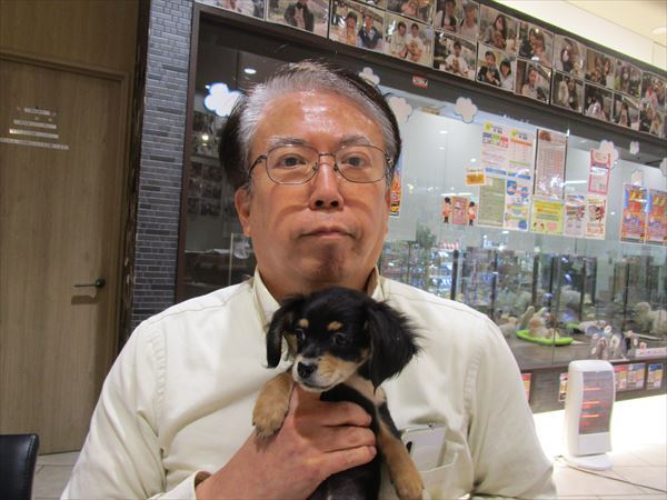写真