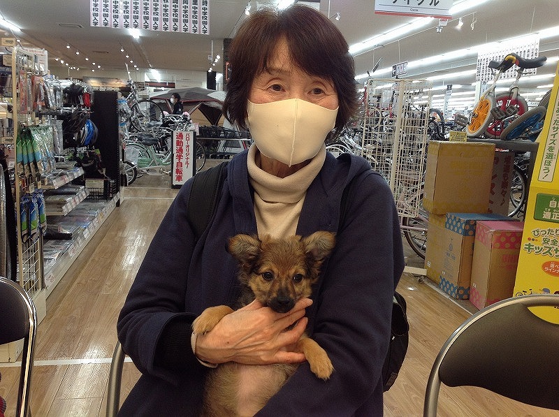写真