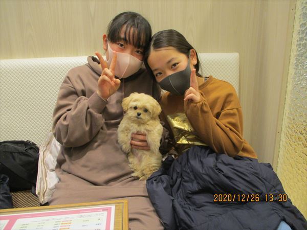 写真