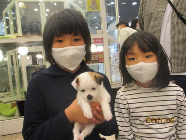 写真