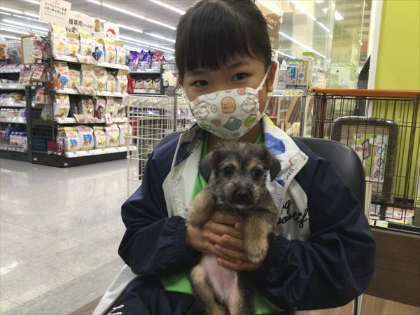 写真