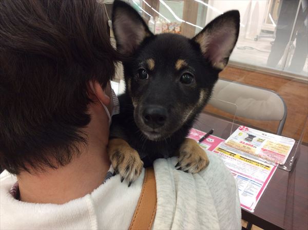写真