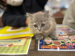 写真