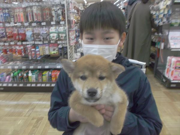 写真