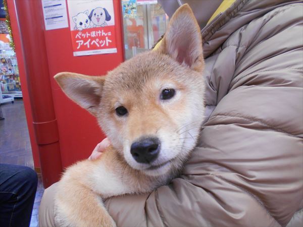 写真