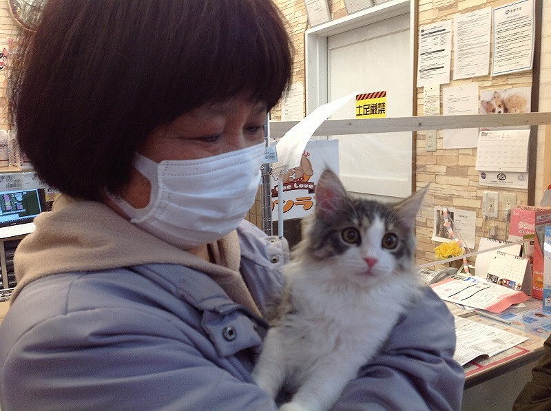 写真