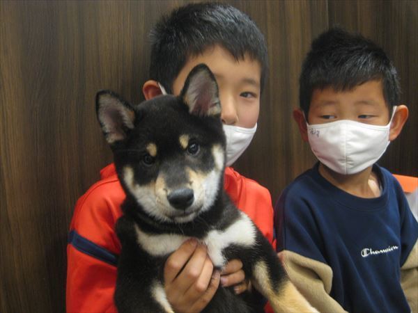 写真
