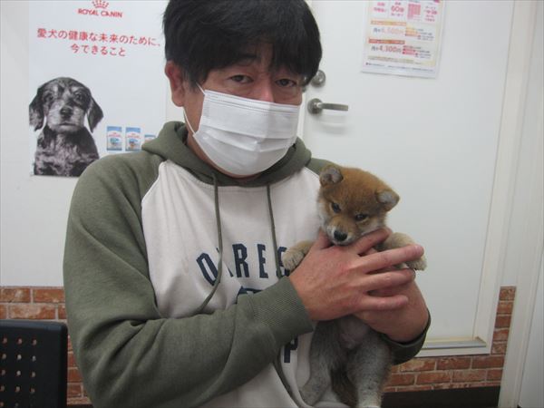 写真