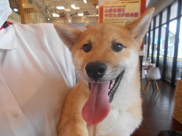 写真