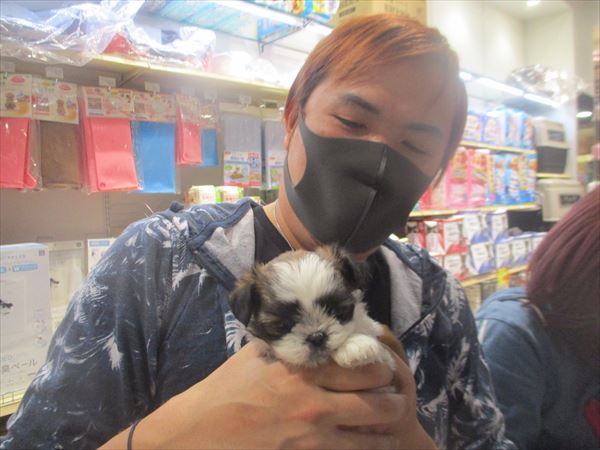 写真