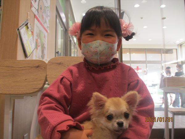 写真