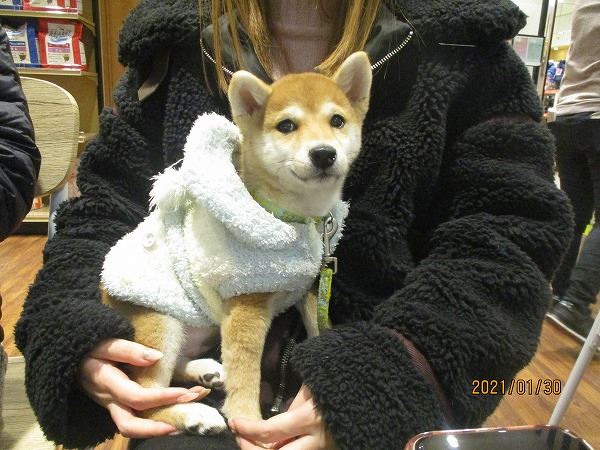 写真