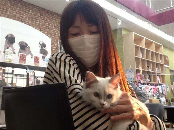 写真