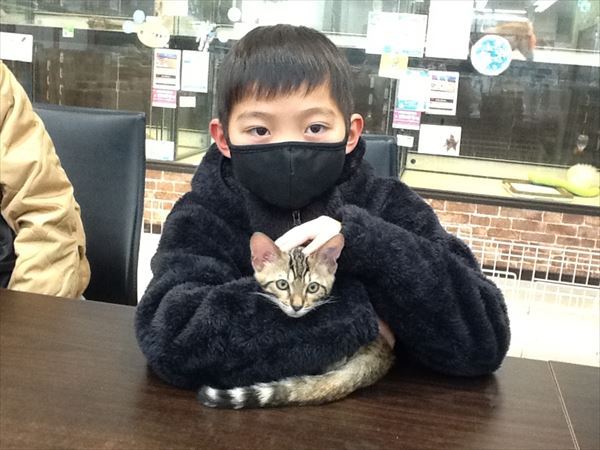 写真