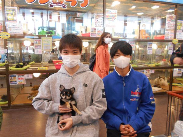 写真