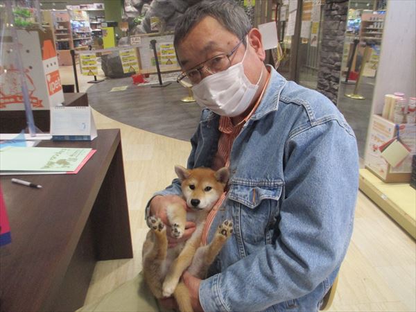 写真