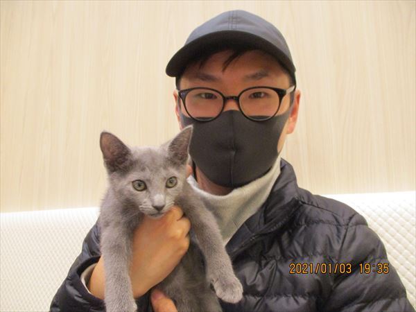 写真