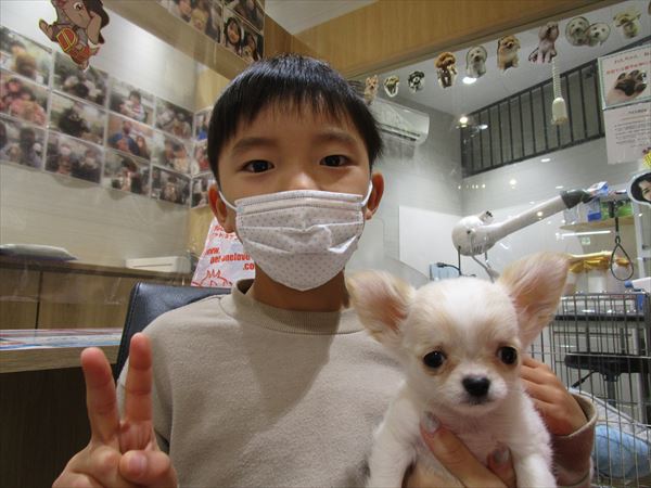 写真
