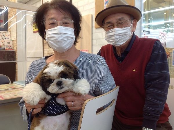 写真