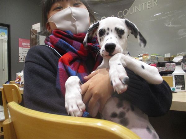 写真