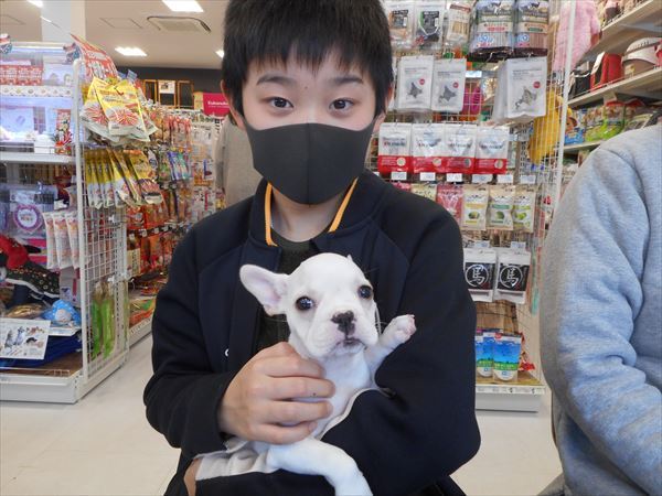 写真