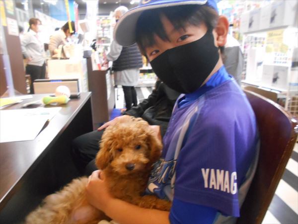 写真