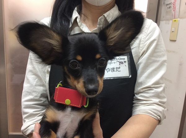 写真