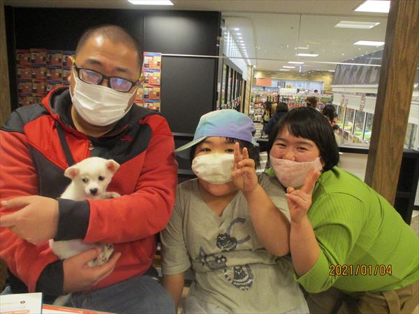 写真
