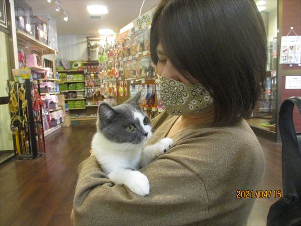 写真