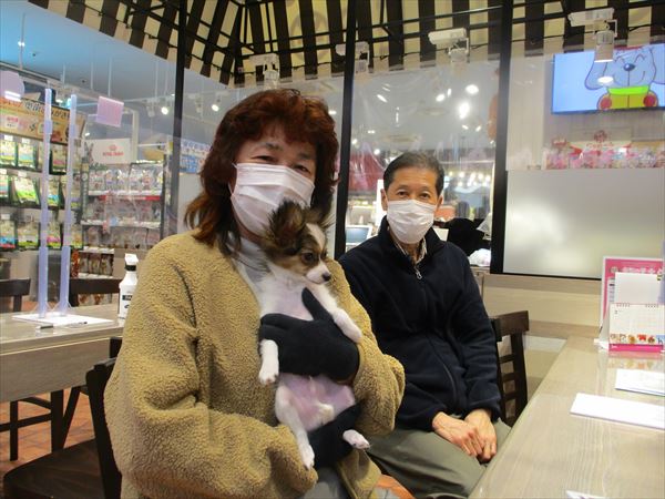 写真