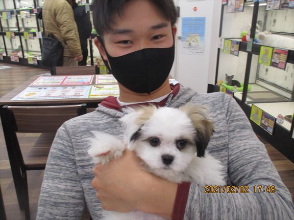 写真