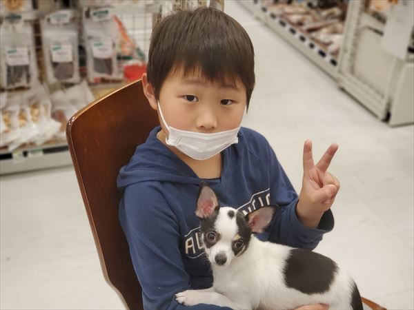 写真